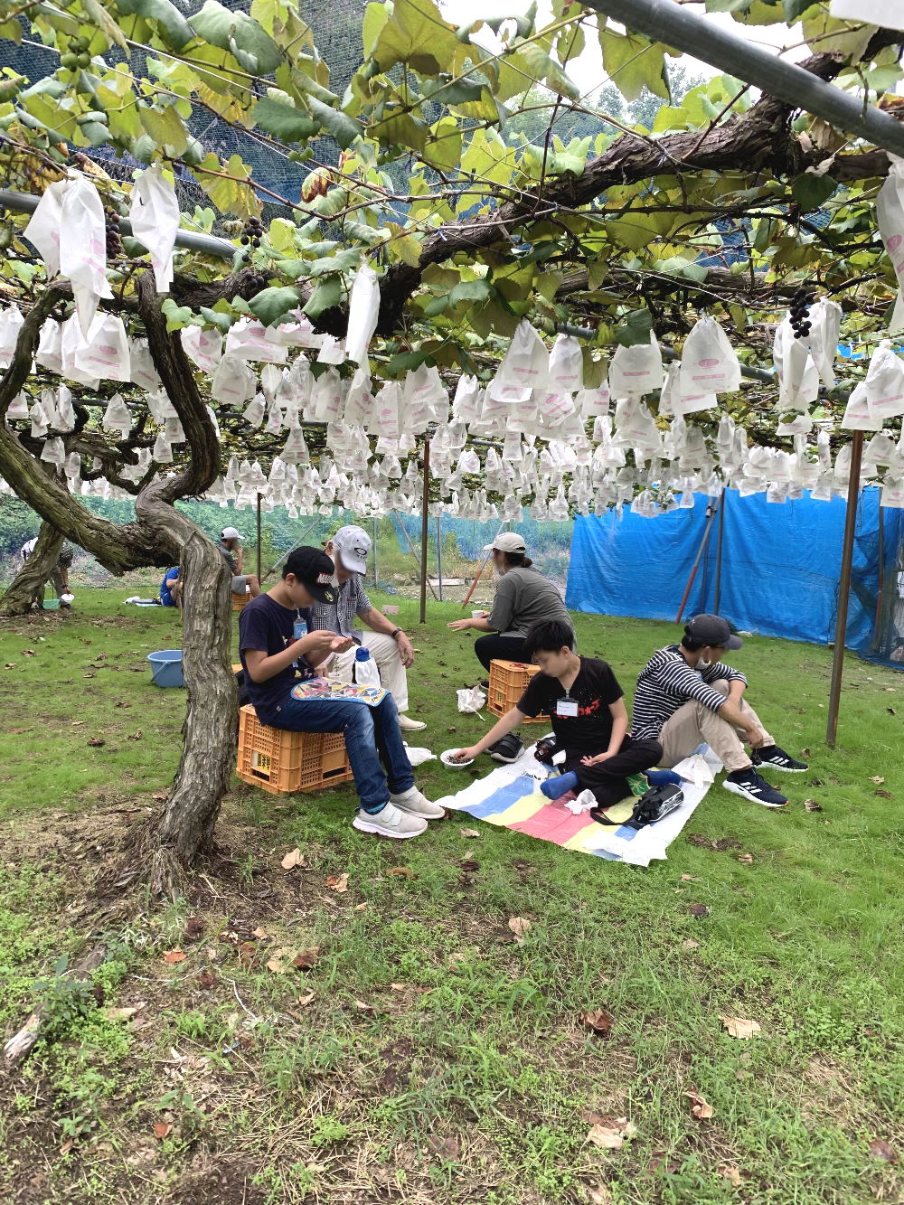 放課後等デイサービス運動療育クラブゆかり